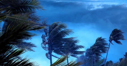 Florida storm
